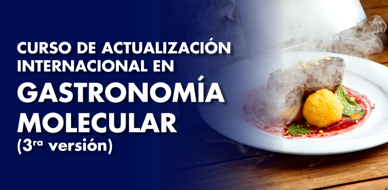 CURSO DE ACTUALIZACIÓN INTERNACIONAL EN GASTRONOMÍA MOLECULAR (3ERA VERSIÓN)