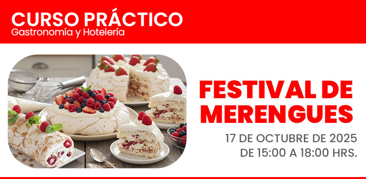 FESTIVAL DE MERENGUES