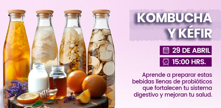 KOMBUCHA Y KEFIR