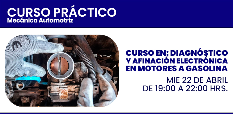 MOTORES A GASOLINA