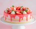 ELABORACION DE TORTAS COMERCIALES